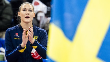 Matchguide: Spanien–Sverige