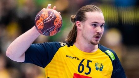 Så gick det för landslagsspelarna i helgen