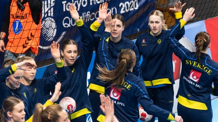 Truppen som ska ta Sverige till VM