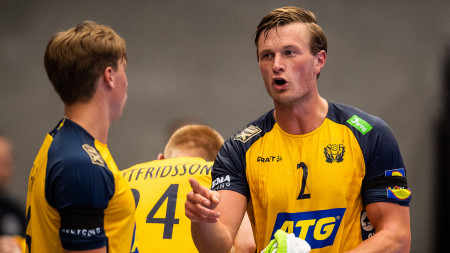 Matchguide: Sverige–Polen