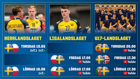 Sju landskamper i dagarna